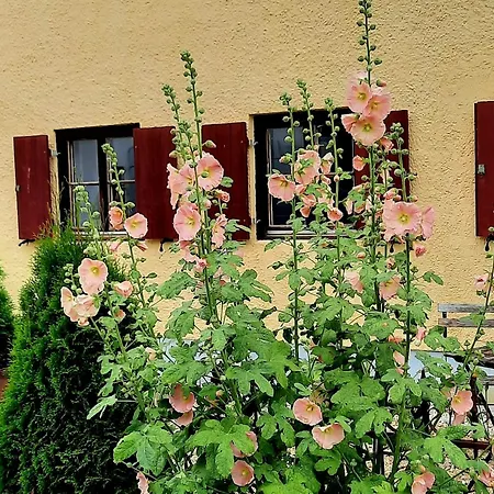 Nette's Hébergement de vacances Landsberg am Lech
